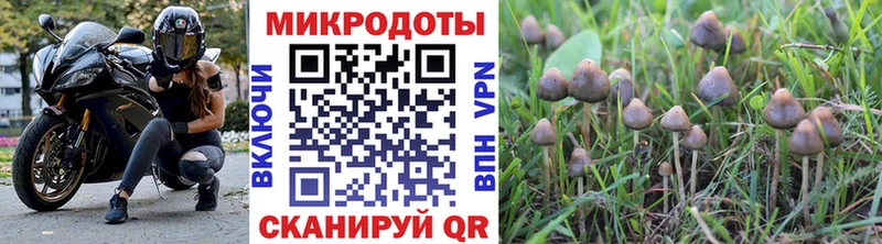 Галлюциногенные грибы GOLDEN TEACHER omg сайт Избербаш