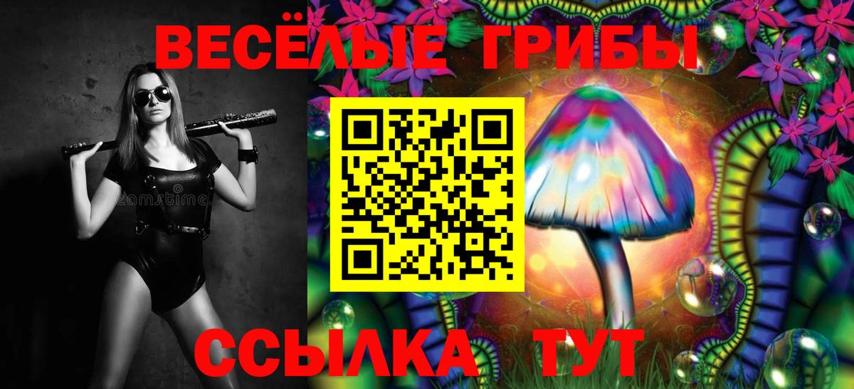 Галлюциногенные грибы прущие грибы  Вход с VPN  Галлюциногенные грибы прущие грибы  Избербаш 