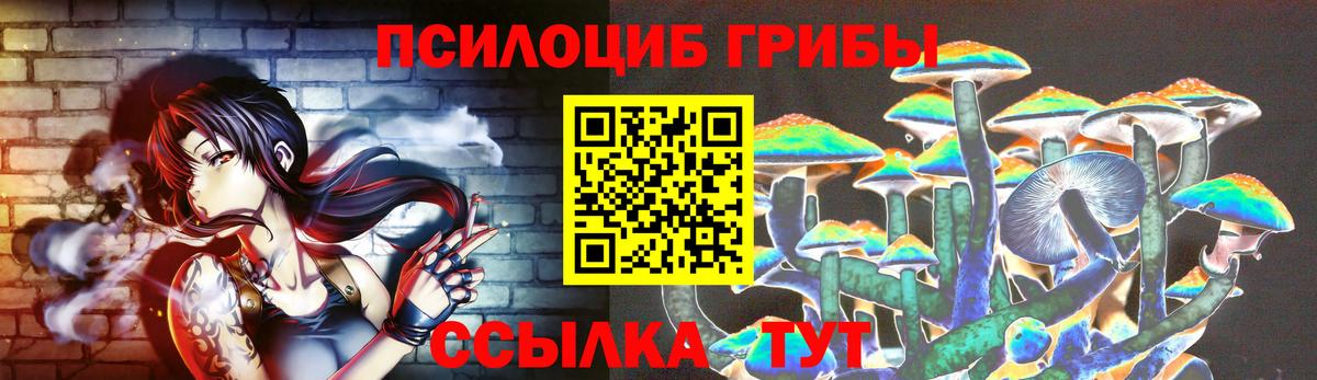 Псилоцибиновые грибы Magic Shrooms Избербаш